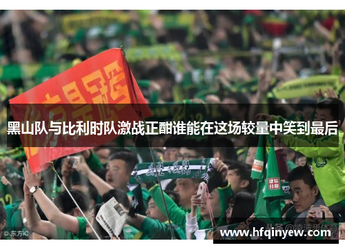 黑山队与比利时队激战正酣谁能在这场较量中笑到最后